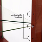 Corner Curio Display Cabinet with Lights