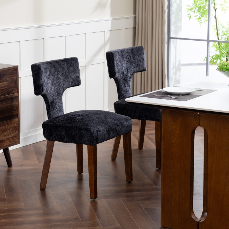Mid Century Modern Dining Chairs Set of 2