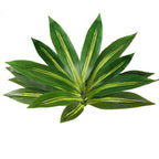 Dracaena Artificial Plant Indoor 5.5FT