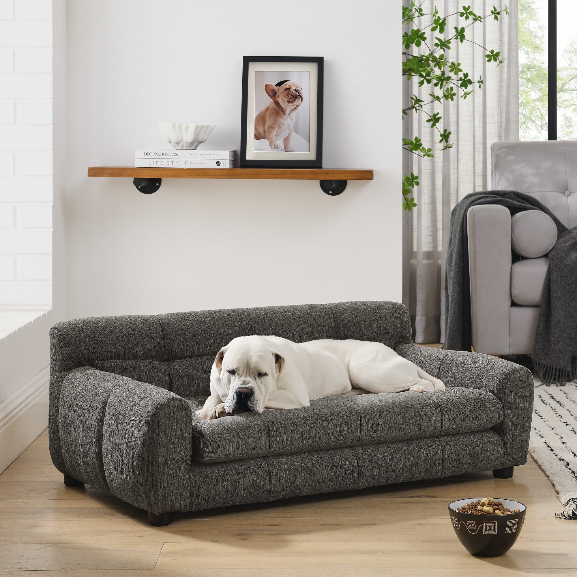 Modern Dark Gray Pet Sofa with Backrest and Armrests