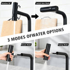 Touchless Matte Kitchen Faucet