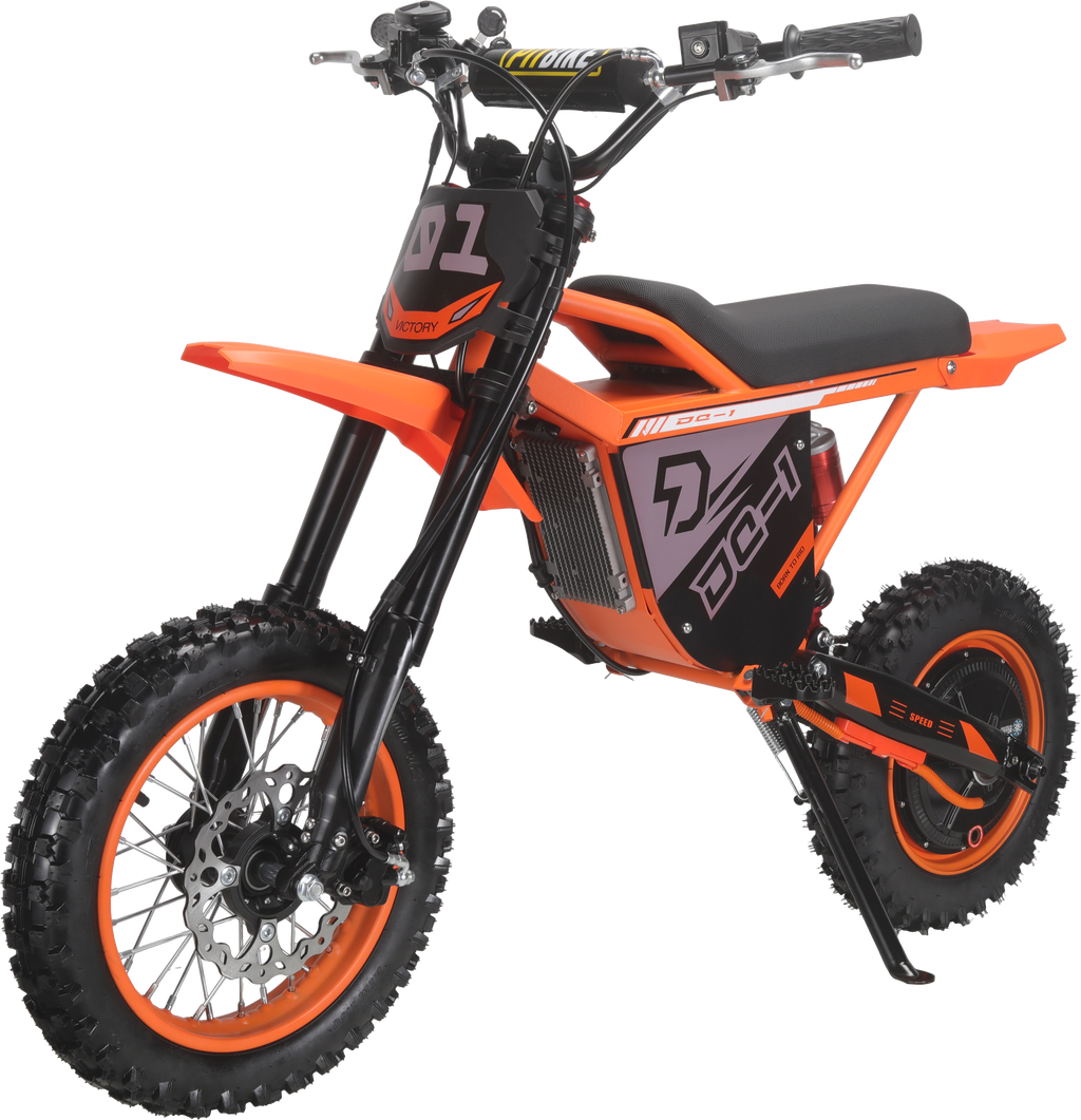 Electric Dirt Bike 48V 1000W for Adults & Teens