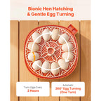12 Egg Incubator with Automatic Egg Turner