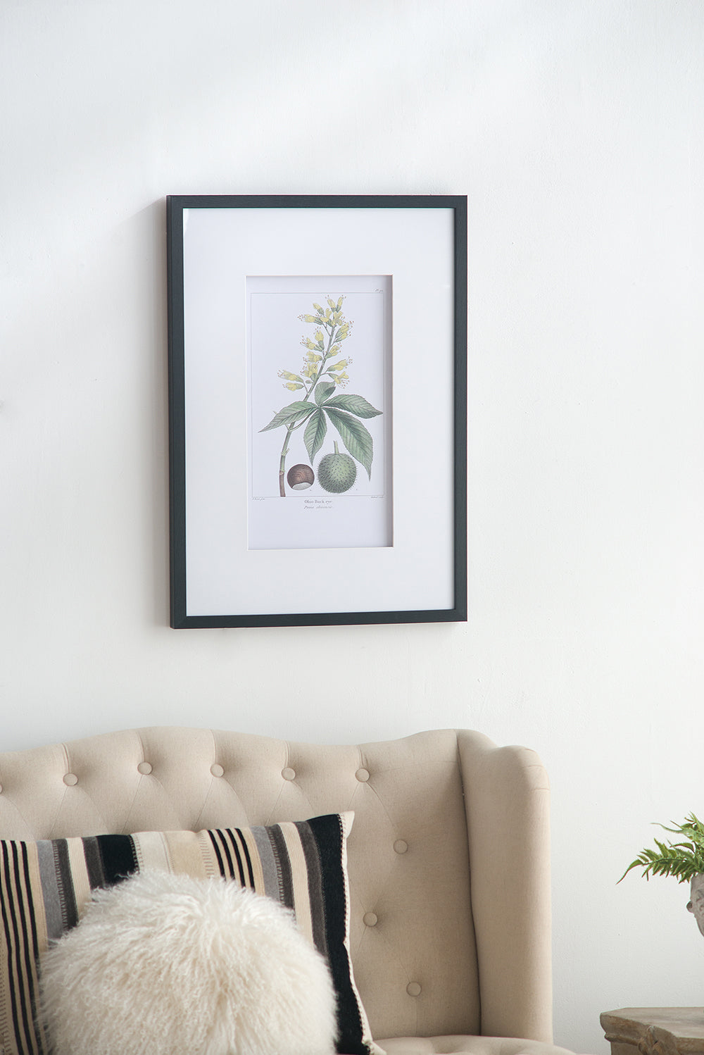 19.7x27.6" Botanical Wall Art Set of 2