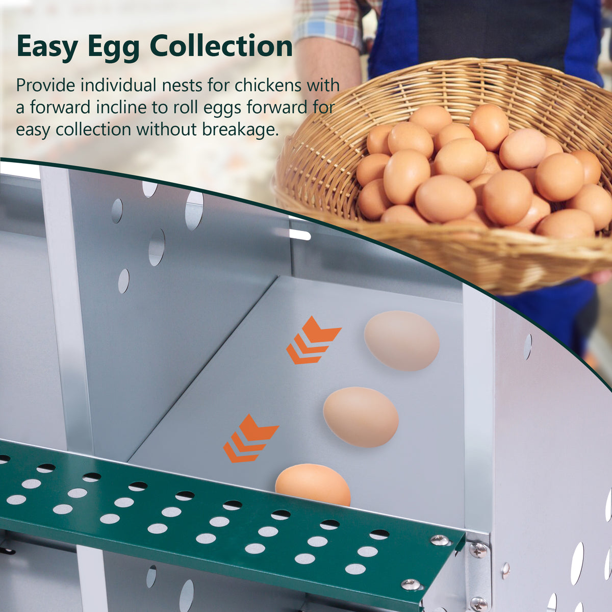 10-Bay Metal Nest Box for Hens and Ducks