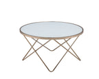 Valora Frosted Glass Top & Champagne Finish Coffee Table