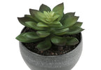 Artificial Succulent Plant Set of 3
