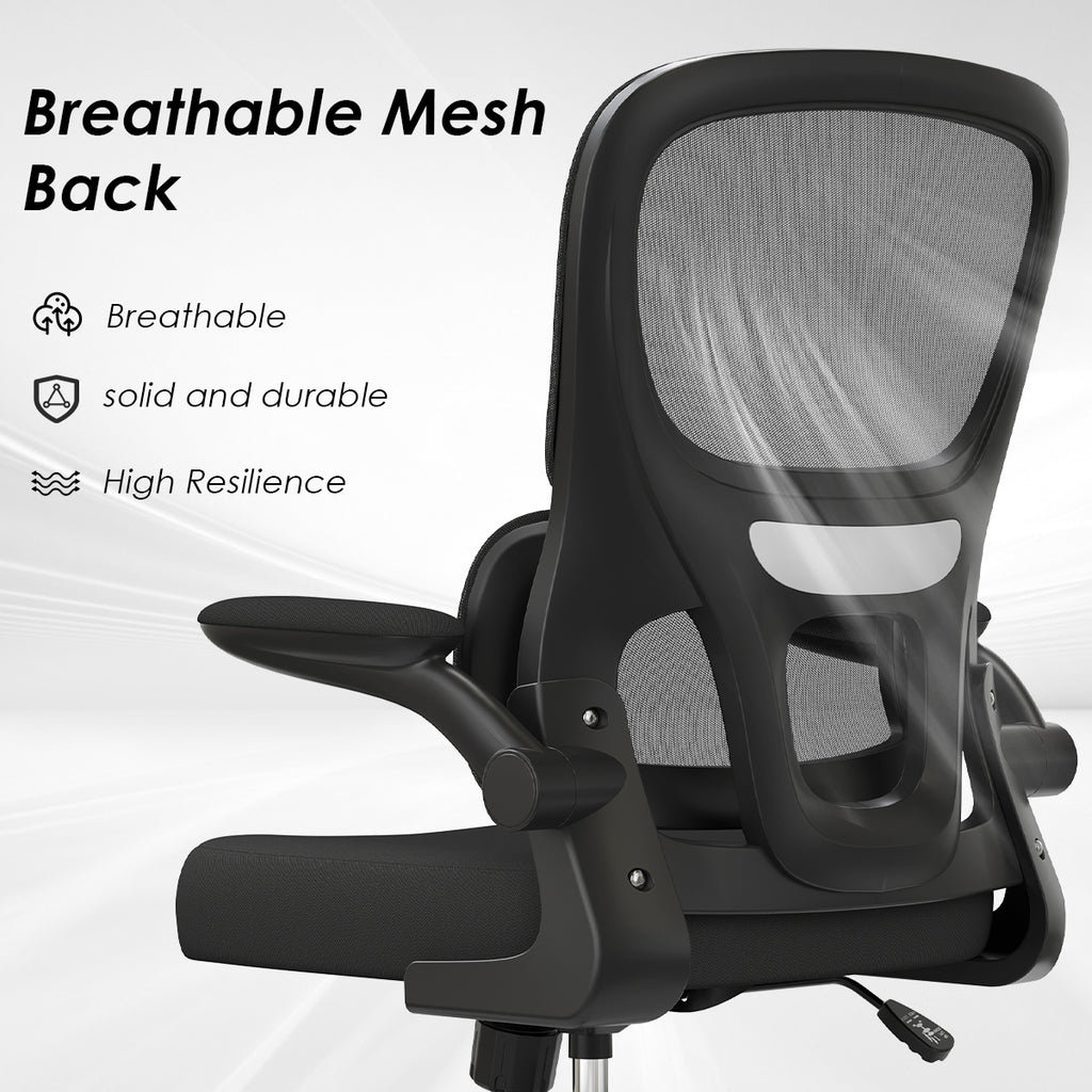 Mesh Ergonomic Office Chair with Lumbar Support