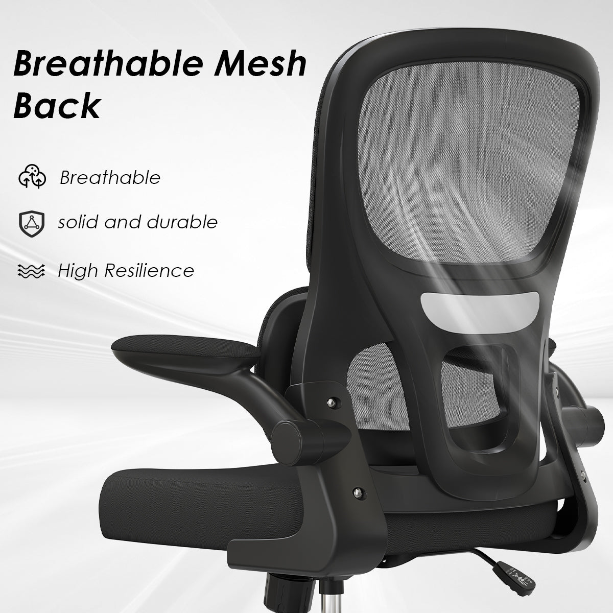 Mesh Ergonomic Office Chair with Lumbar Support
