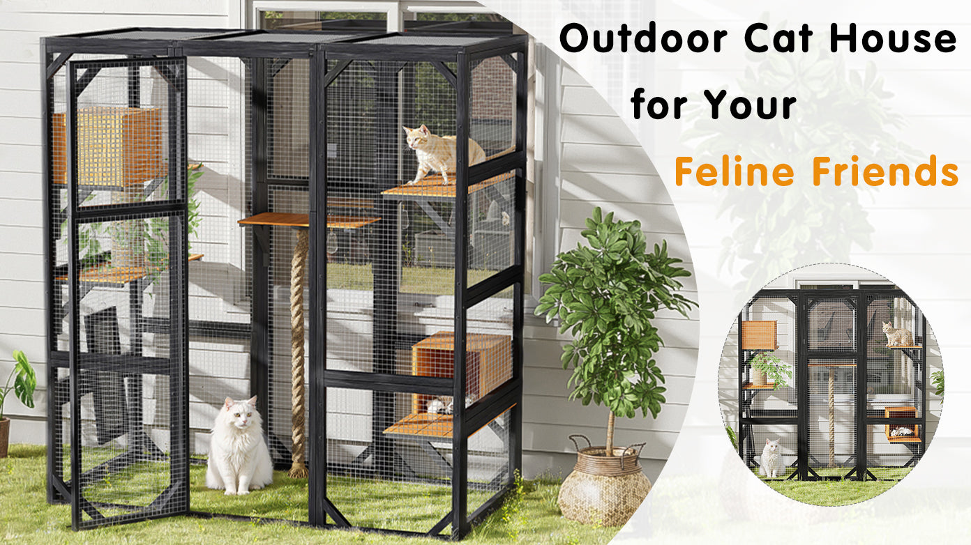 Outdoor Cat House with Double Entry Doors