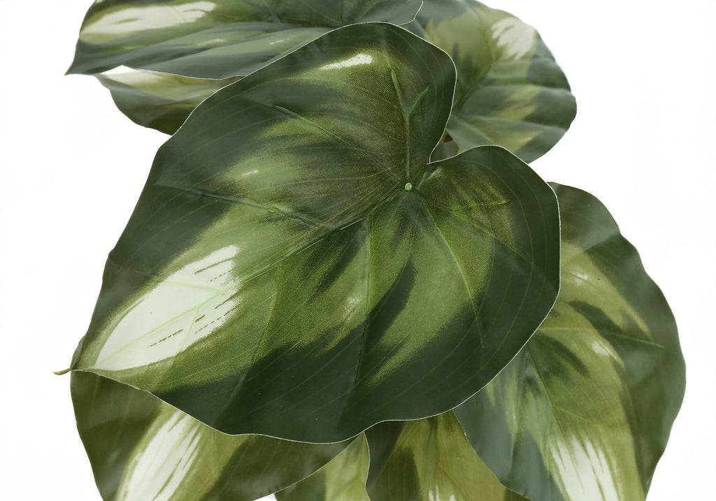 Artificial Plant Set of 2 - 13" Tall Monstera Calathea