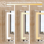 Bathroom LED Lighted Medicine Cabinet with Storage