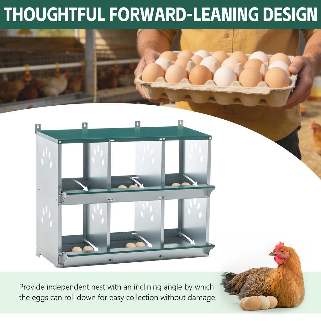 Chicken Nesting Box - 6 Room Metal Design for Hens