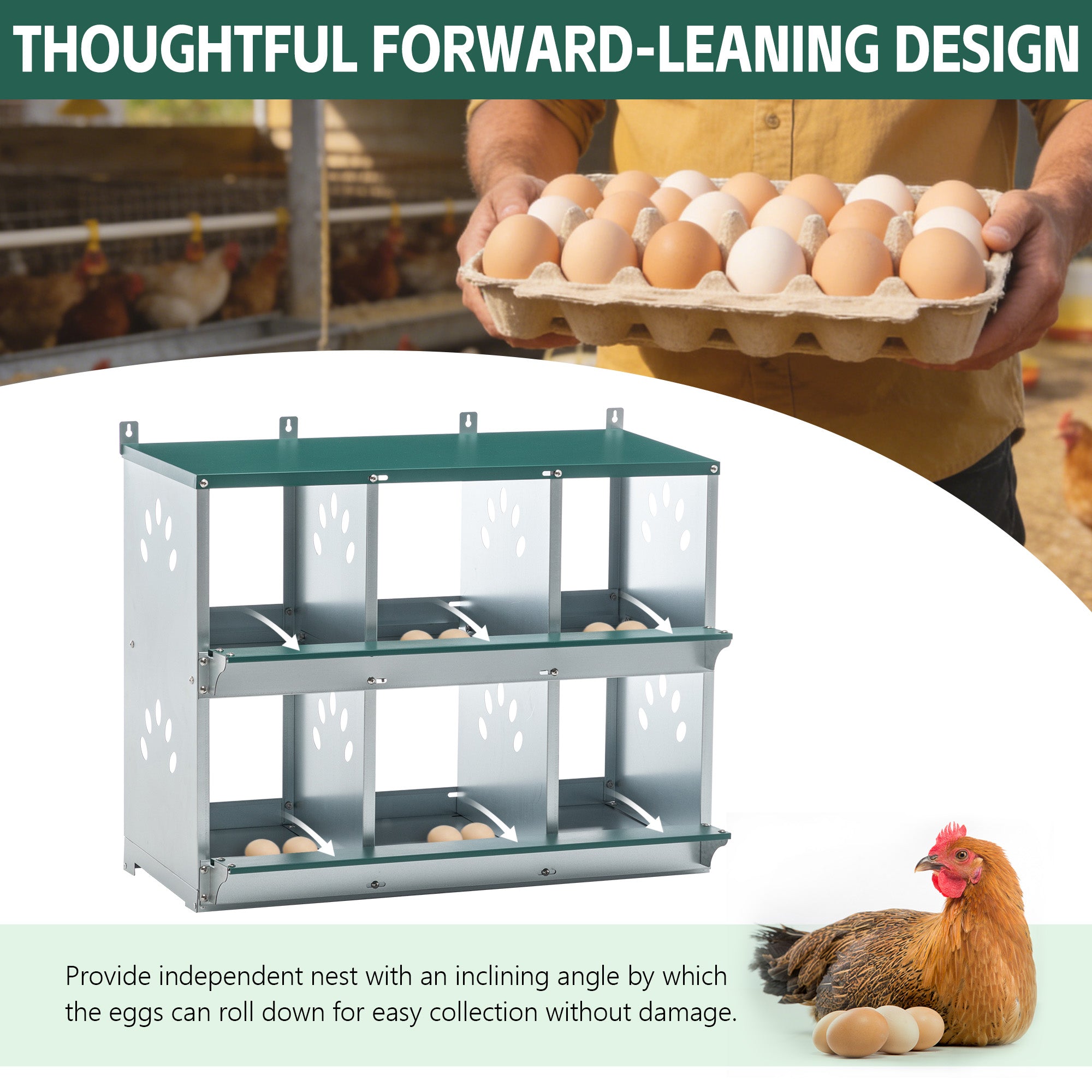 Chicken Nesting Box - 6 Room Metal Design for Hens