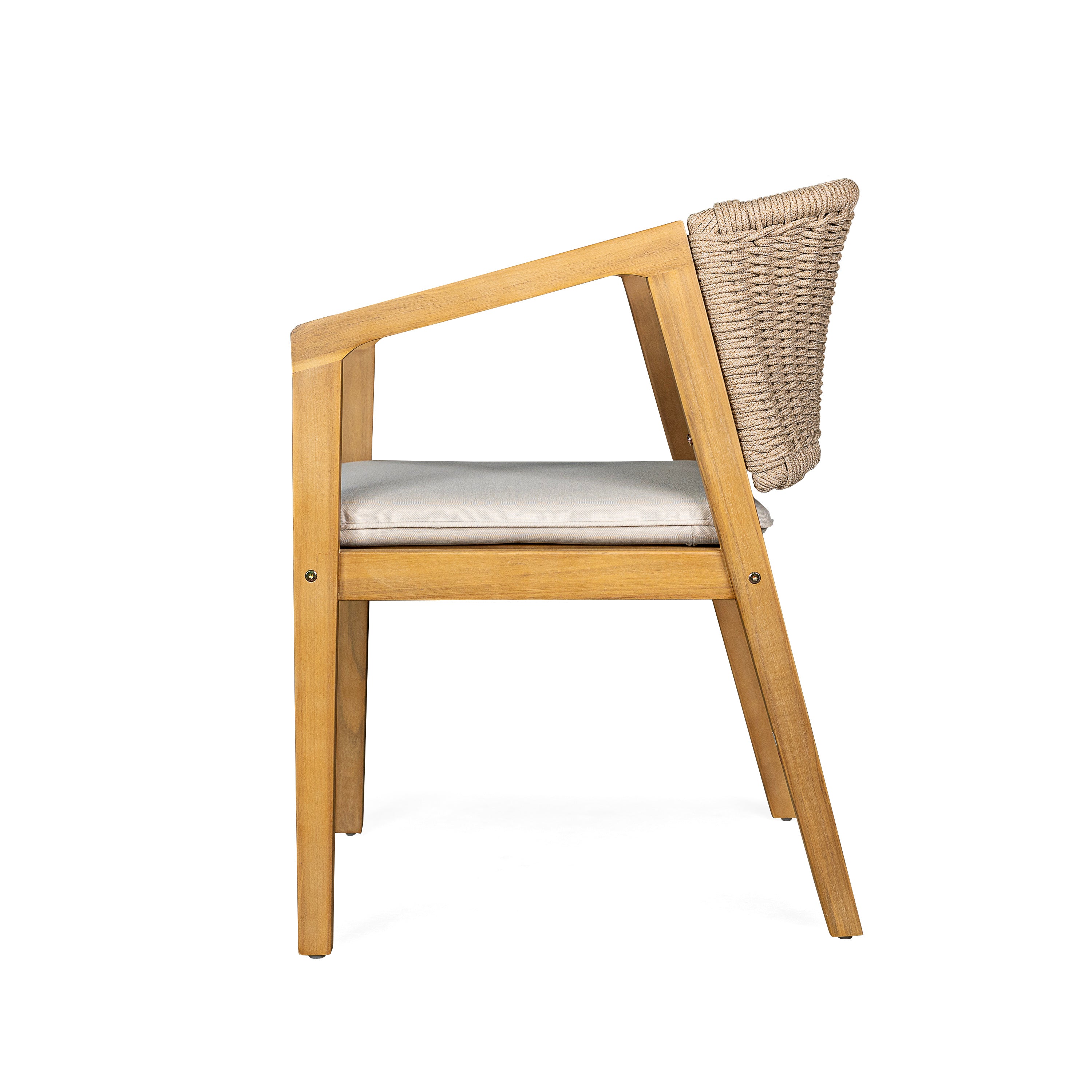 Dining Chair Set of 2