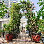 Metal Garden Arch with Gate