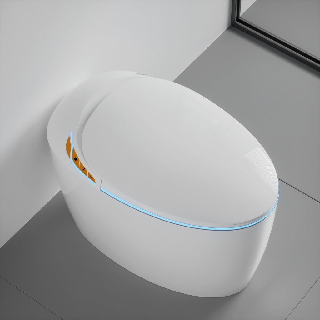 Unique Smart Toilet with Built-In Bidet