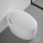 Unique Smart Toilet with Built-In Bidet
