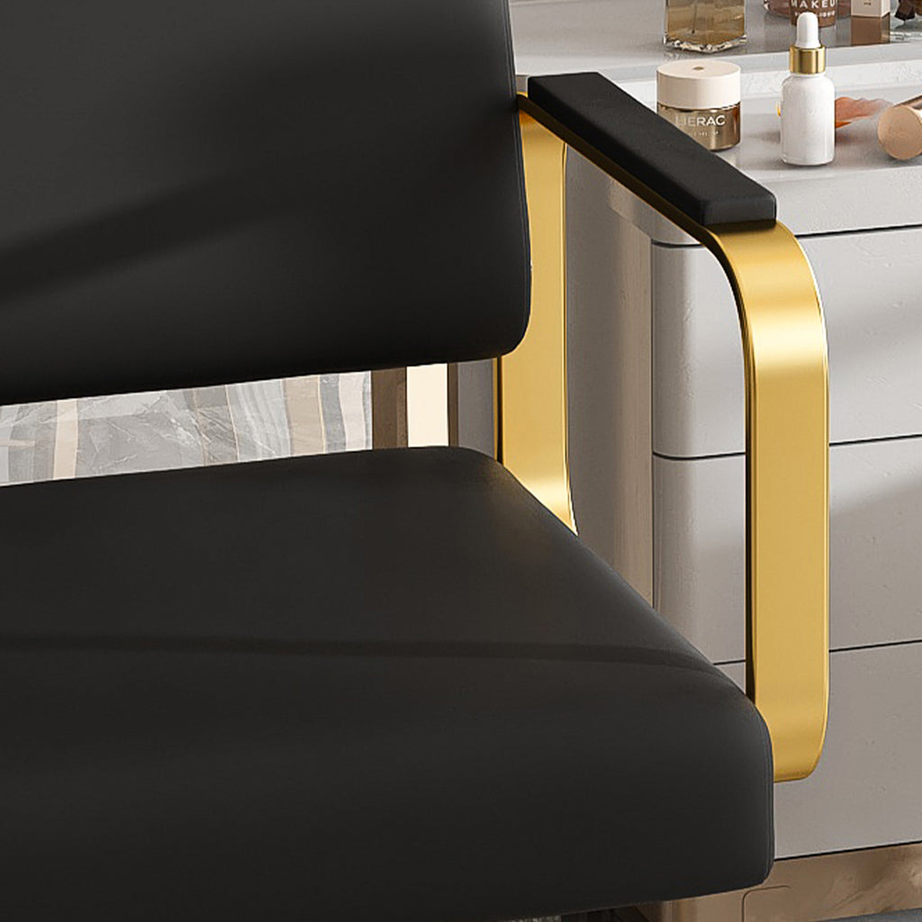 Hydraulic Salon Chair, 360° Swivel, Non-Tilting, Black and Gold
