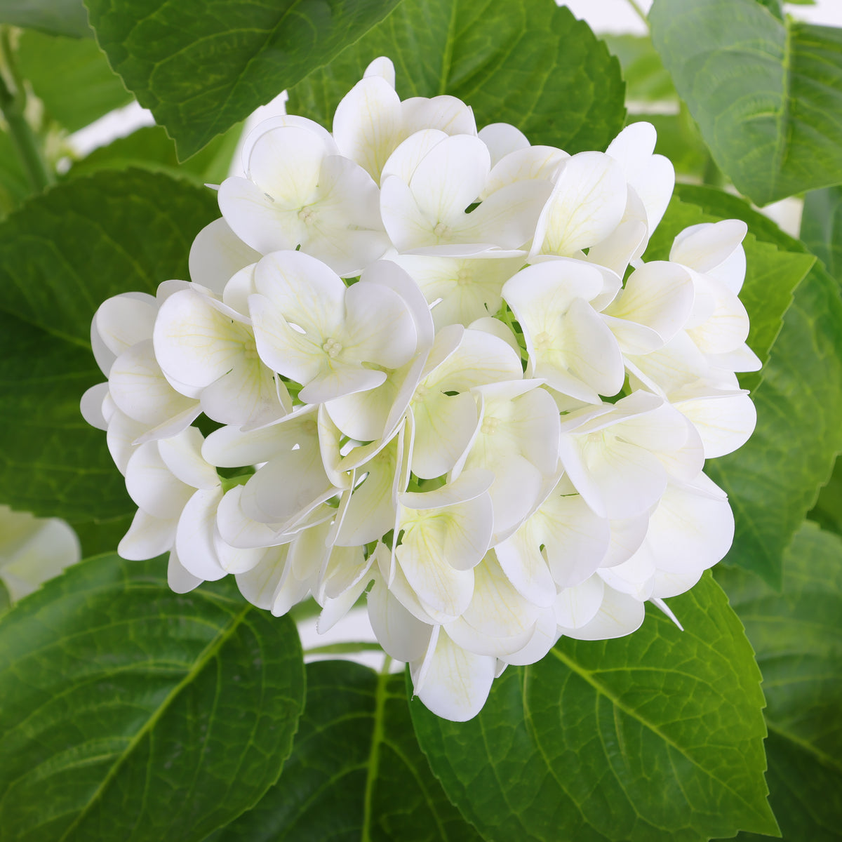 3-Foot Artificial White Hydrangea Plant in Black Pot