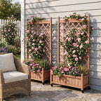 Raised Garden Bed with Trellis 2 Pack