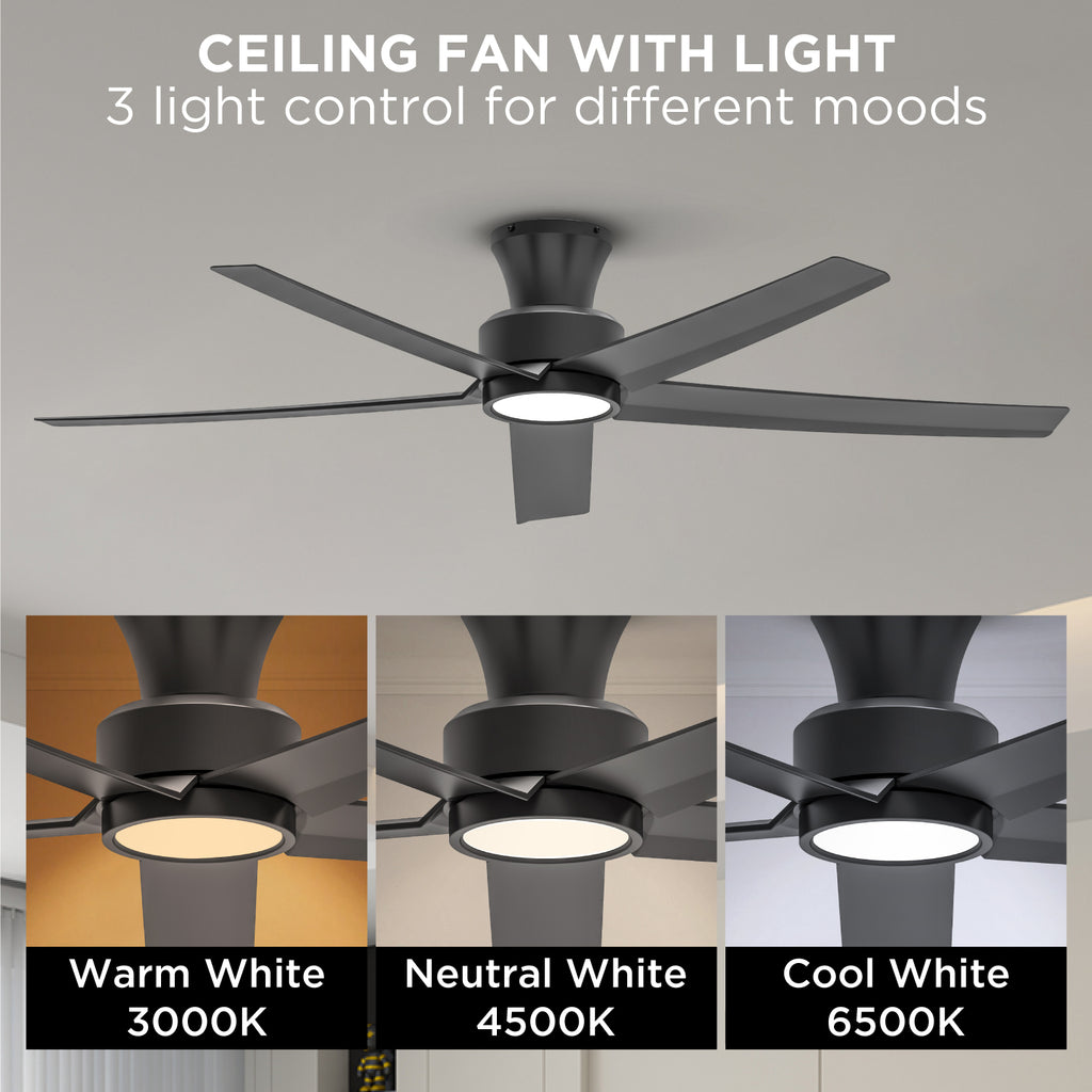 52 Inch Ceiling Fan with Lights and Remote