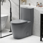 1.1/1.6 GPF Tornado Flush One-Piece Toilet