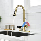 3-in-1 Kitchen Faucet with Press-Type Glass Rinser