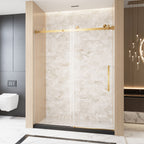 Frameless Single Sliding Shower Door