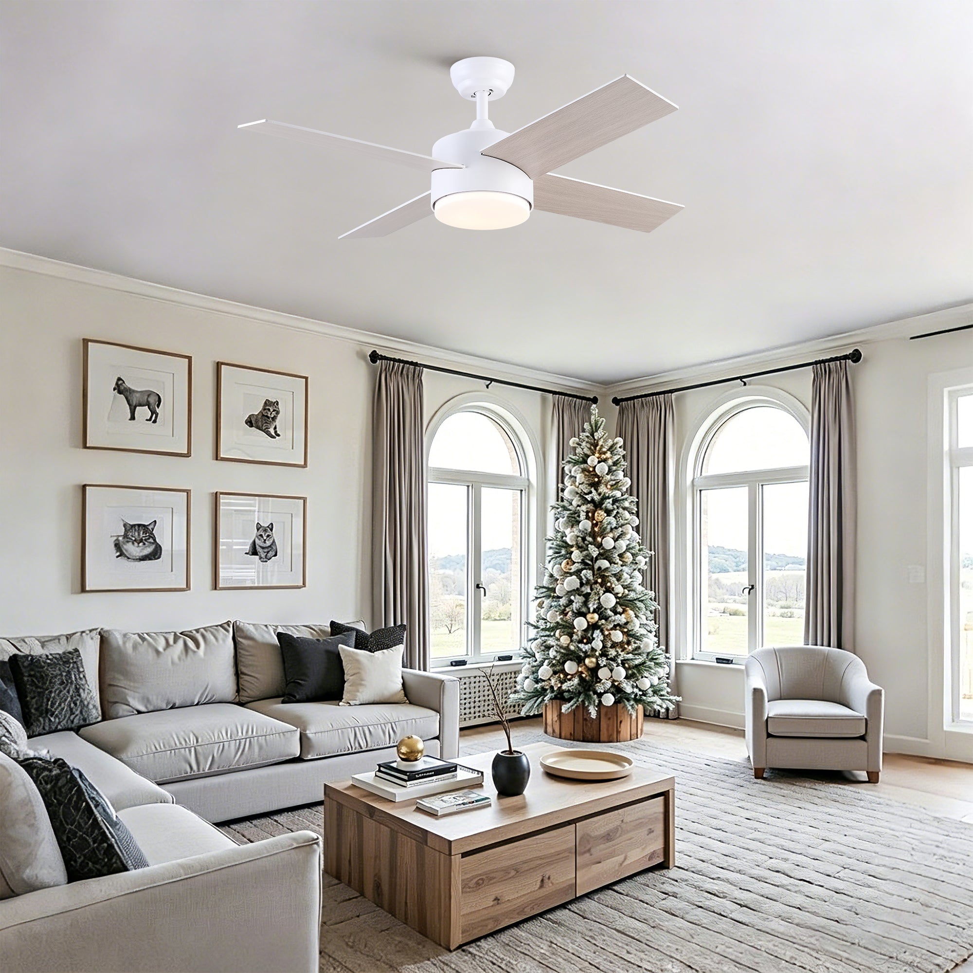 44" Ceiling Fan with Lights & Remote - Matte Finish