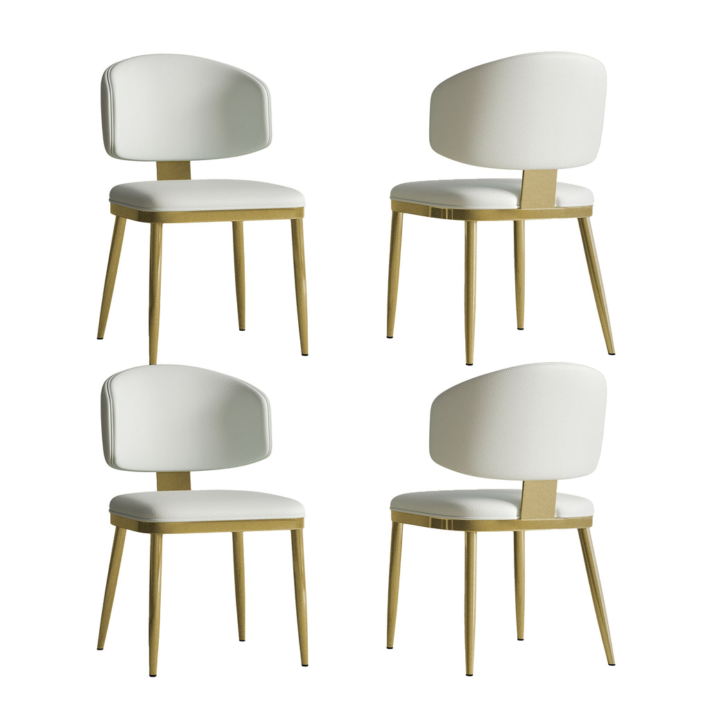 Dining Chairs Set of 2 in Modern Design