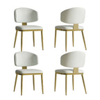 Dining Chairs Set of 2 in Modern Design