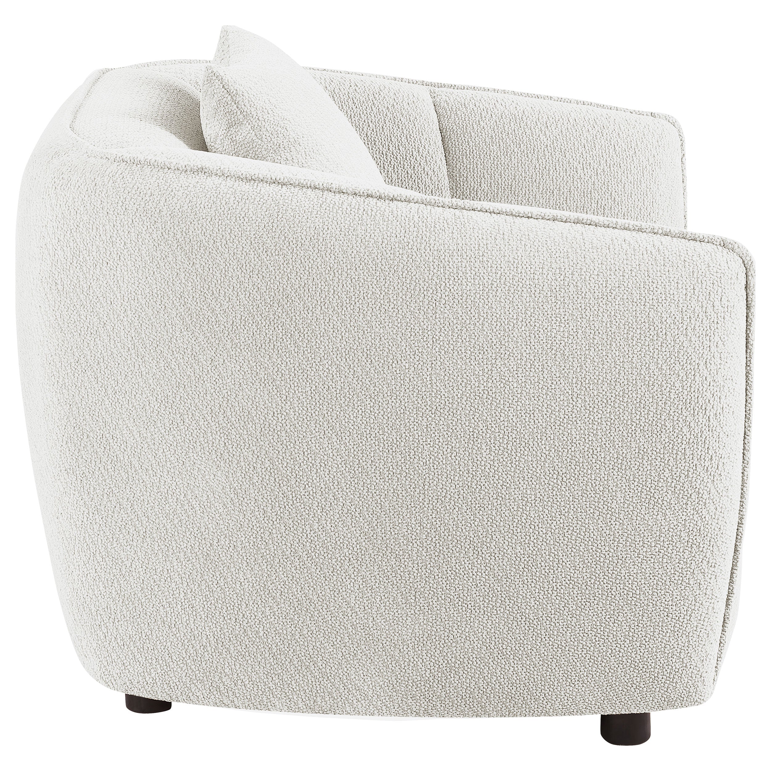Aleisha Chenille Upholstered Accent Chair Ivory-