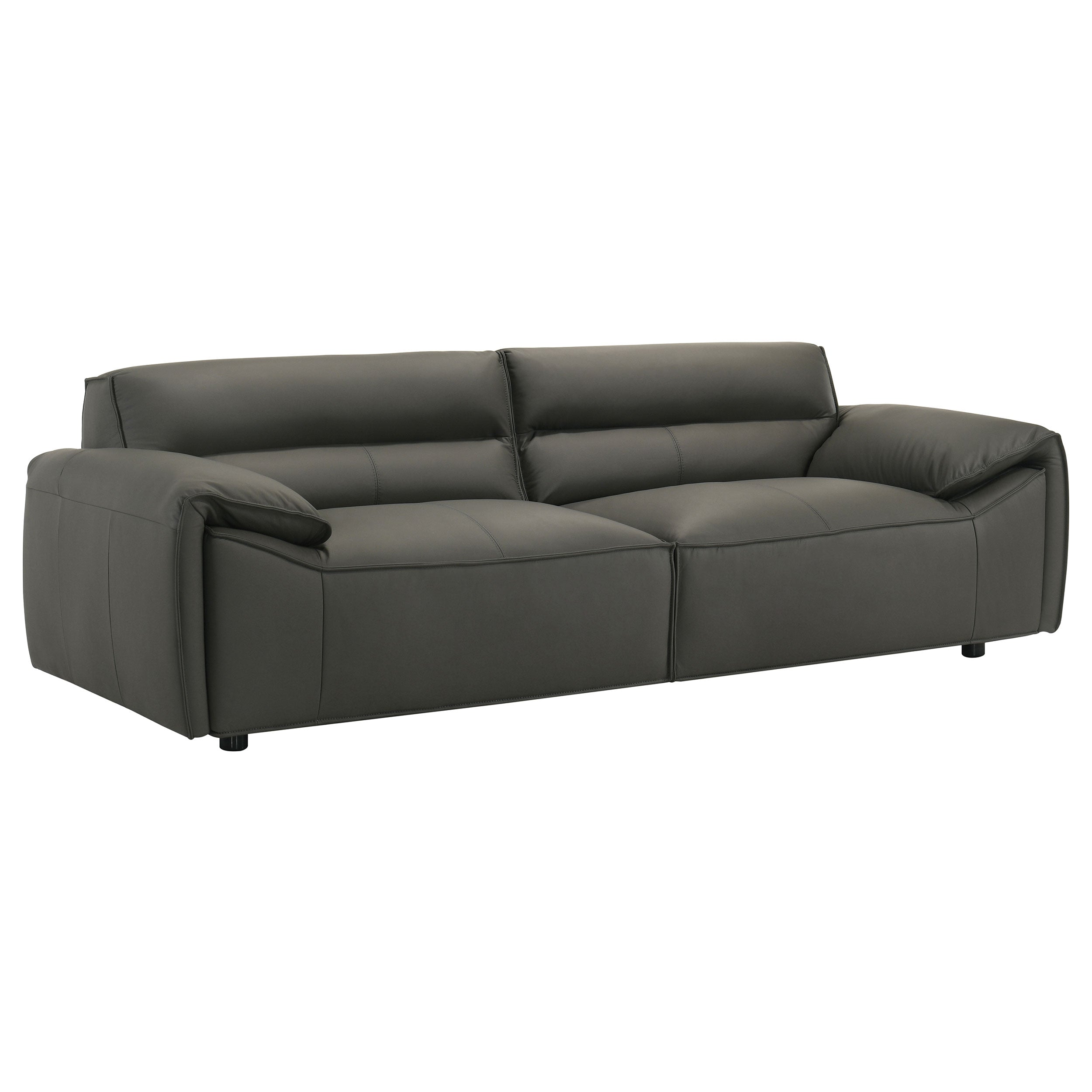 Buxton Top Grain Leather Upholstered Sofa Graphite-