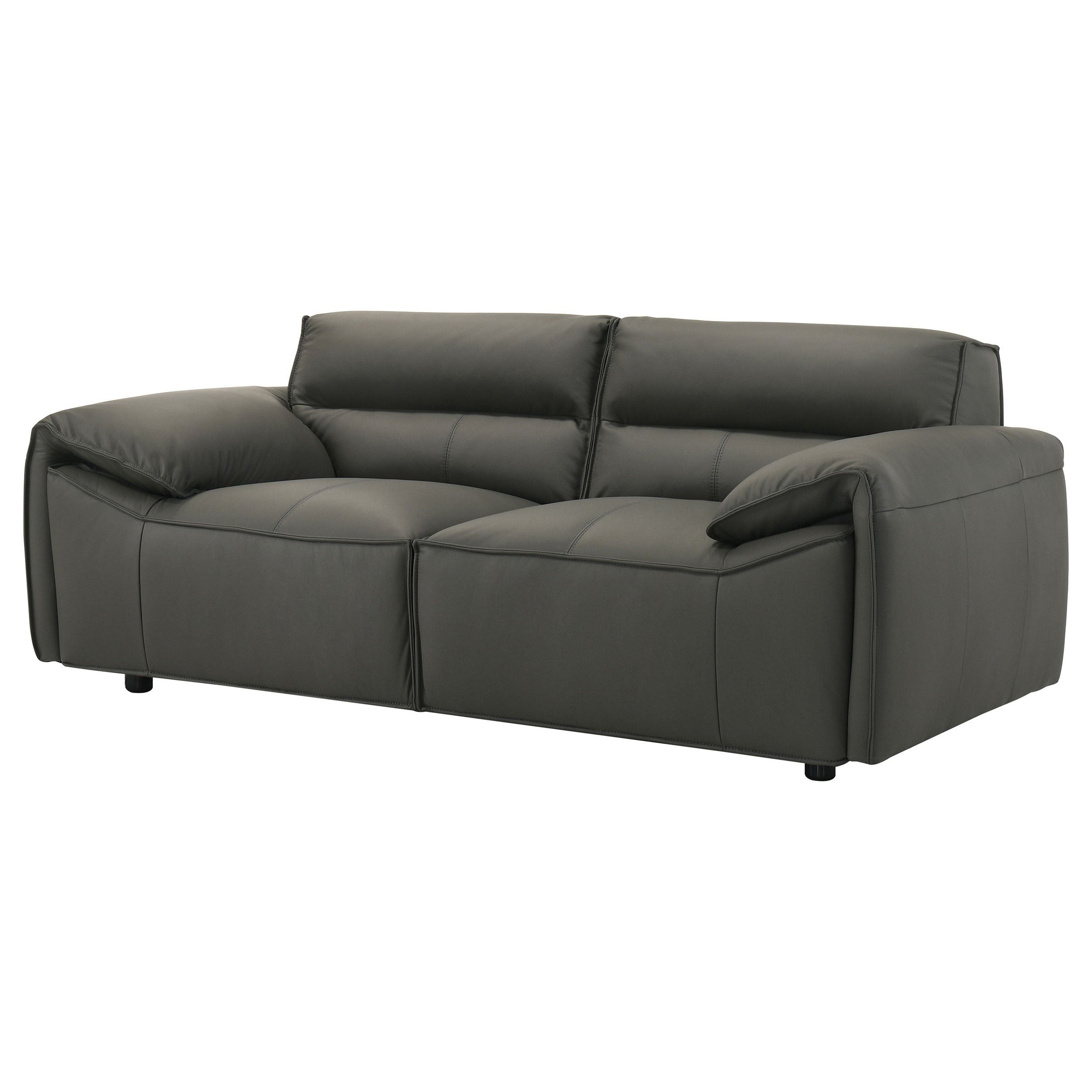 Buxton Top Grain Leather Upholstered Loveseat Graphite-