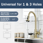3-in-1 Kitchen Faucet with Press-Type Glass Rinser