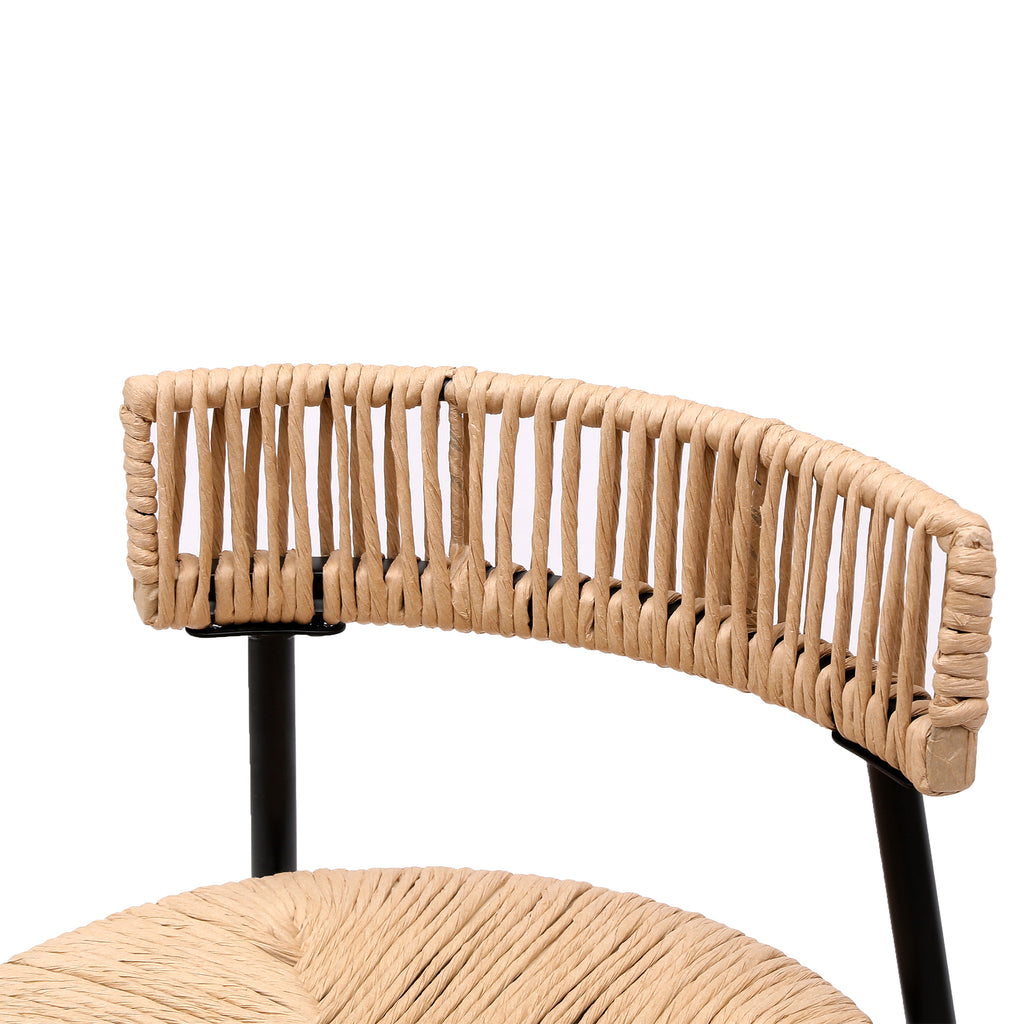 Hand Woven Bar Stools with Back Set of 2
