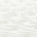 Premium 12 In. Pocket Coil Hybrid Mattress, Queen