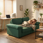 FX-P20M-2S-GR Modern Storage Sofa