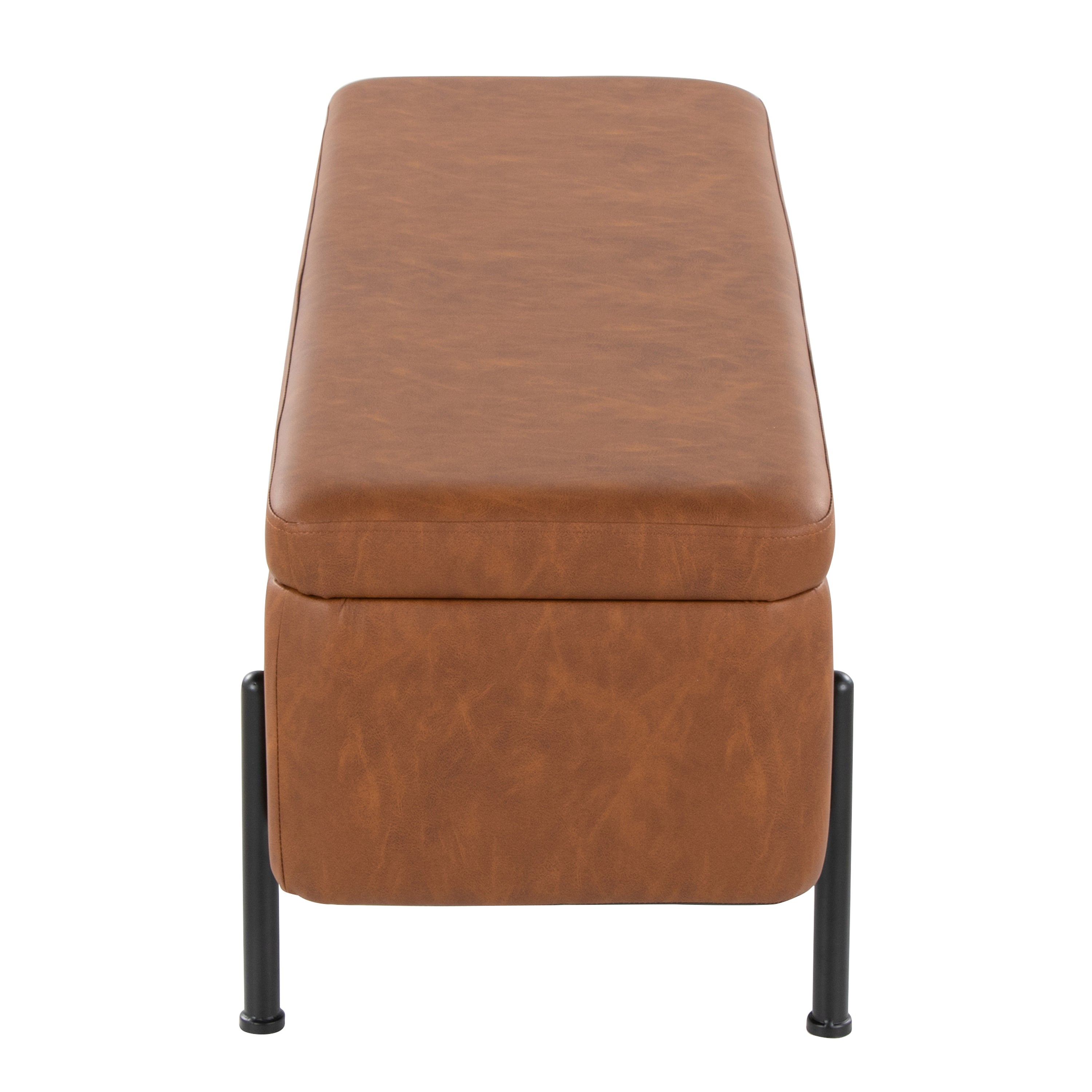 Daniella Contemporary Storage Bench
