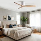 52 Inch American Modern Cozy Vibrant Fan