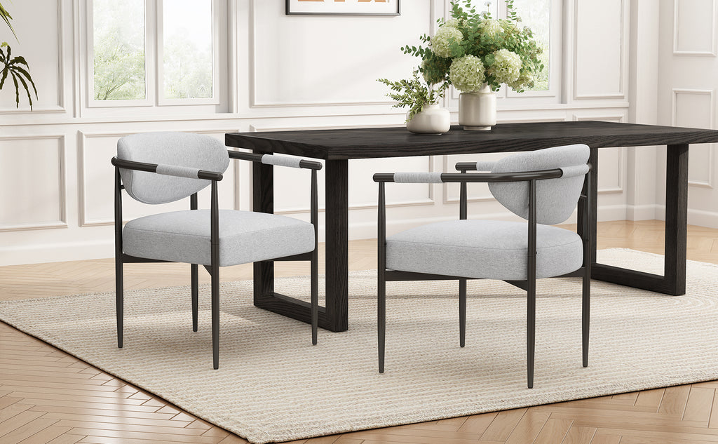 Modern Dining Chairs Set of 2