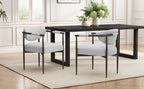 Modern Dining Chairs Set of 2