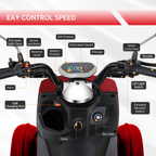 Electric Mobility Scooter with Big Size, High Power