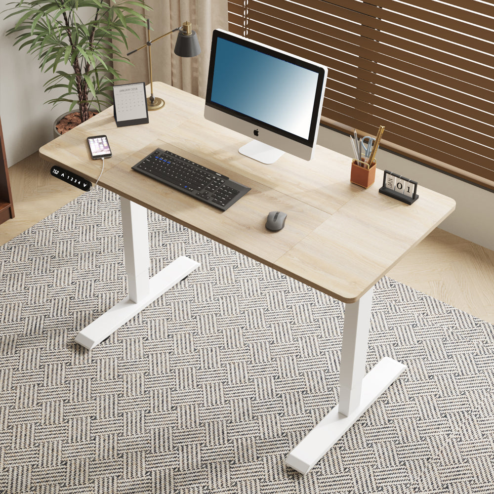 55"×24" Light Adjustable Electric Standing Desk