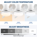 30 Inch Low Profile Flush Mount Ceiling Fan with Light