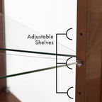 Corner Curio Display Cabinet with Lights