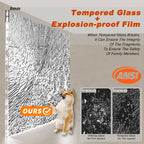 Frameless Sliding Shower Door - 5/16" Tempered Glass, Stainless Steel Frame