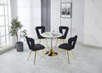 Modern Chair Set of 2 with Golden Color Iron Tube Legs
