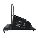 Dog Treadmill for Medium Dogs - Dog Pacer Treadmill